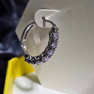 3889 - The Simplistic Hoop Earrings